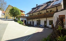 Blaue Traube